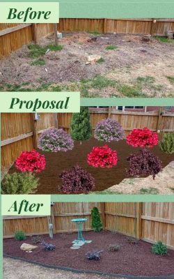Professional Landscaping Service in NC (1)