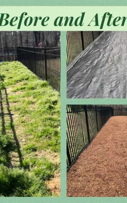 Best Landscaping Company in Zabulon, NC