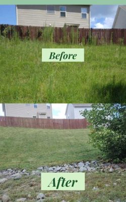 Professional Landscaping Service in NC (16)