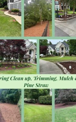 Professional Landscaping Service in NC (2)
